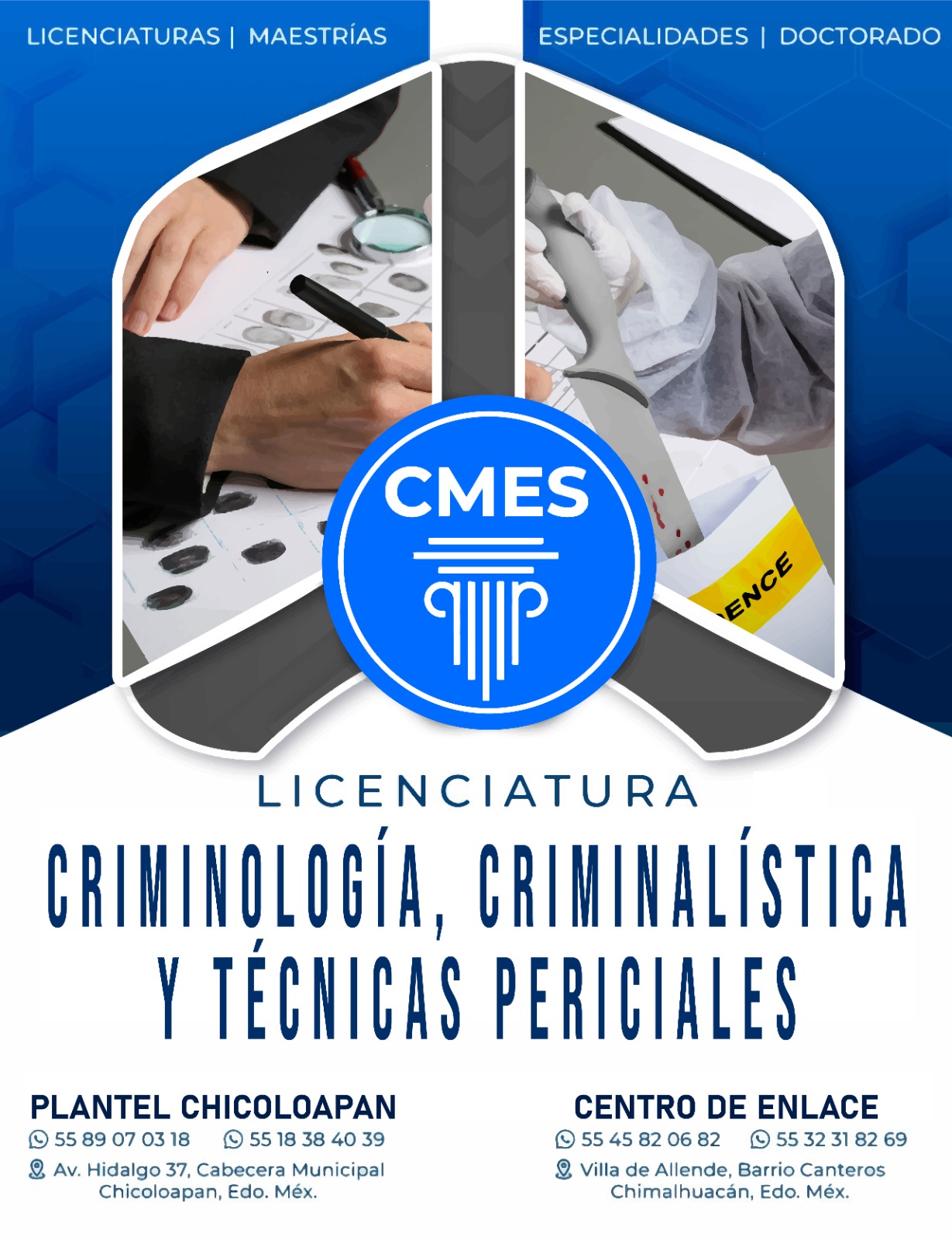 Imagen Criminologia