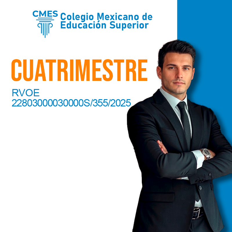 Derecho Constitucional y Amparo