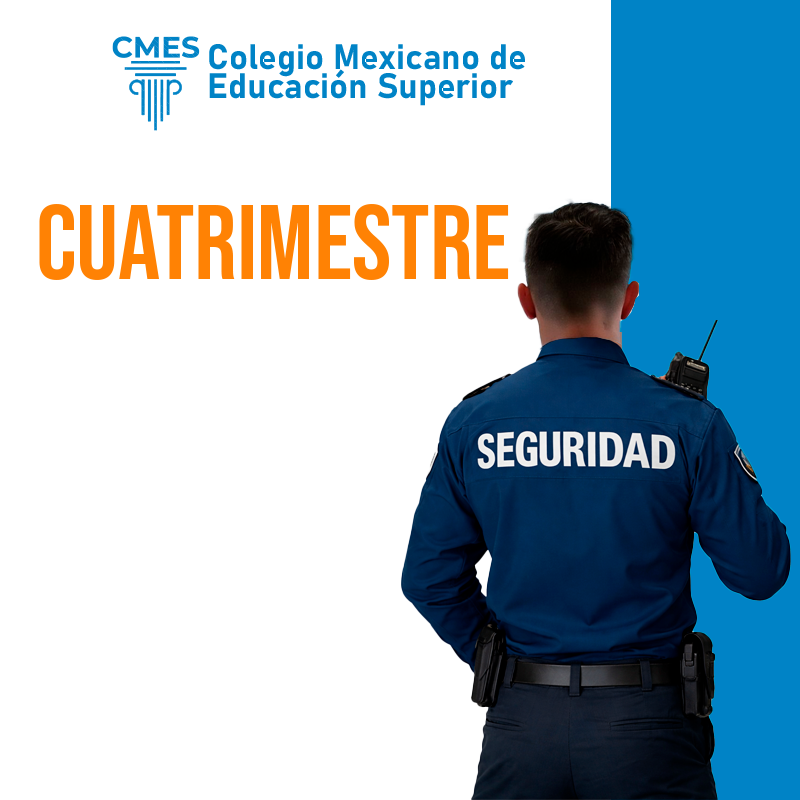 Seguridad Publica